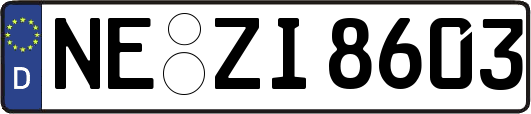 NE-ZI8603