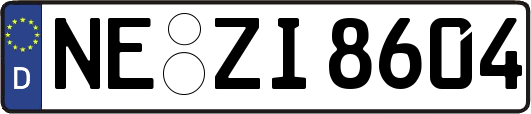 NE-ZI8604