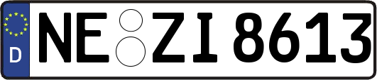 NE-ZI8613