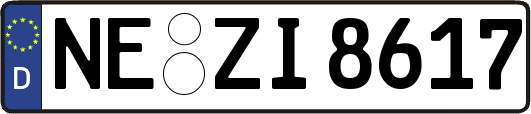 NE-ZI8617