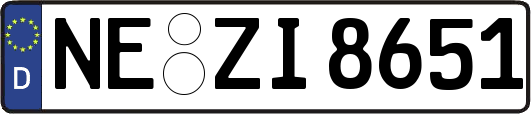 NE-ZI8651