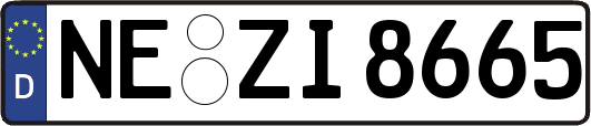 NE-ZI8665