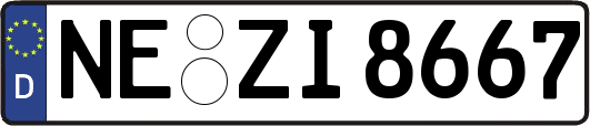 NE-ZI8667