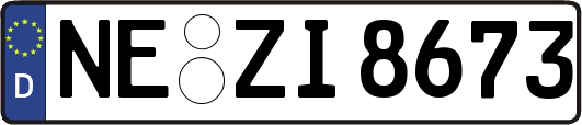 NE-ZI8673