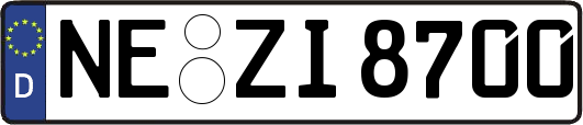 NE-ZI8700