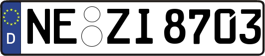 NE-ZI8703