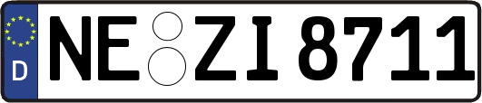 NE-ZI8711