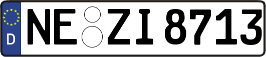 NE-ZI8713