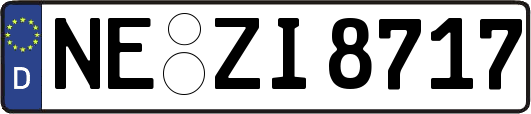 NE-ZI8717