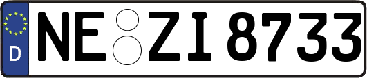 NE-ZI8733