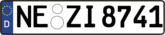 NE-ZI8741