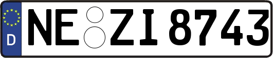 NE-ZI8743