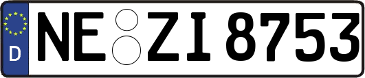 NE-ZI8753
