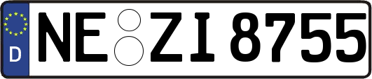 NE-ZI8755