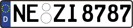 NE-ZI8787