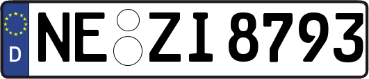 NE-ZI8793