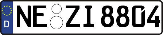 NE-ZI8804