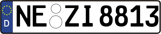 NE-ZI8813