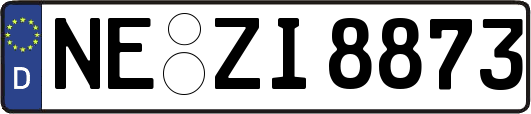 NE-ZI8873