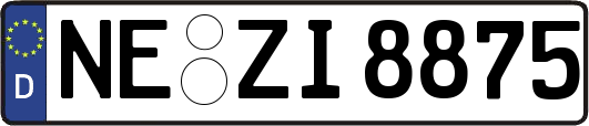 NE-ZI8875