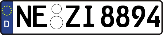 NE-ZI8894