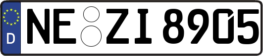 NE-ZI8905