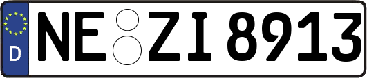 NE-ZI8913