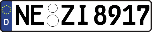 NE-ZI8917