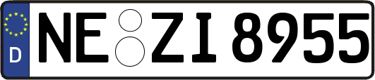 NE-ZI8955