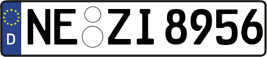 NE-ZI8956