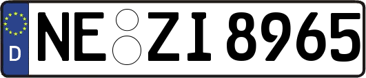 NE-ZI8965