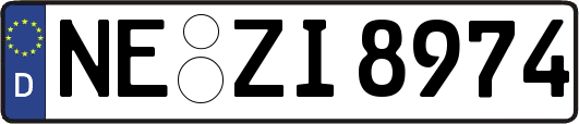 NE-ZI8974