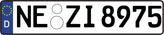 NE-ZI8975