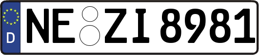 NE-ZI8981