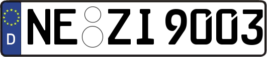 NE-ZI9003