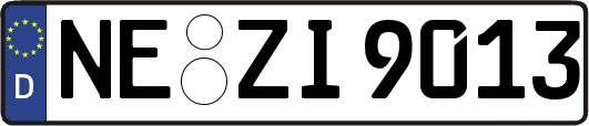 NE-ZI9013