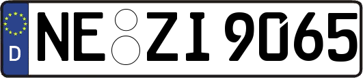 NE-ZI9065