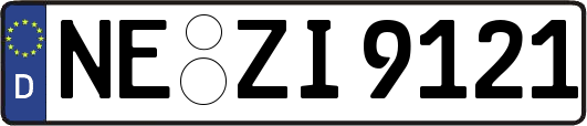 NE-ZI9121