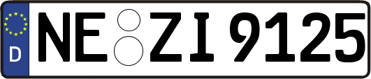 NE-ZI9125