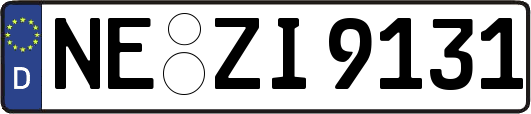 NE-ZI9131