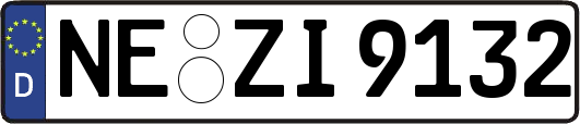 NE-ZI9132