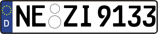 NE-ZI9133
