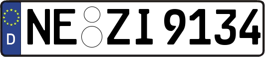 NE-ZI9134