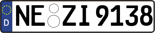 NE-ZI9138