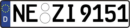NE-ZI9151