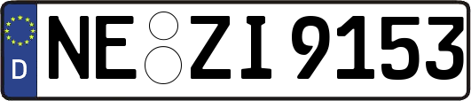 NE-ZI9153