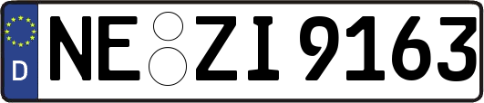 NE-ZI9163