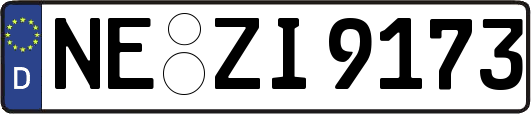 NE-ZI9173