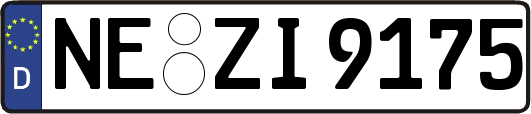 NE-ZI9175