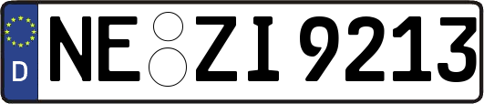 NE-ZI9213